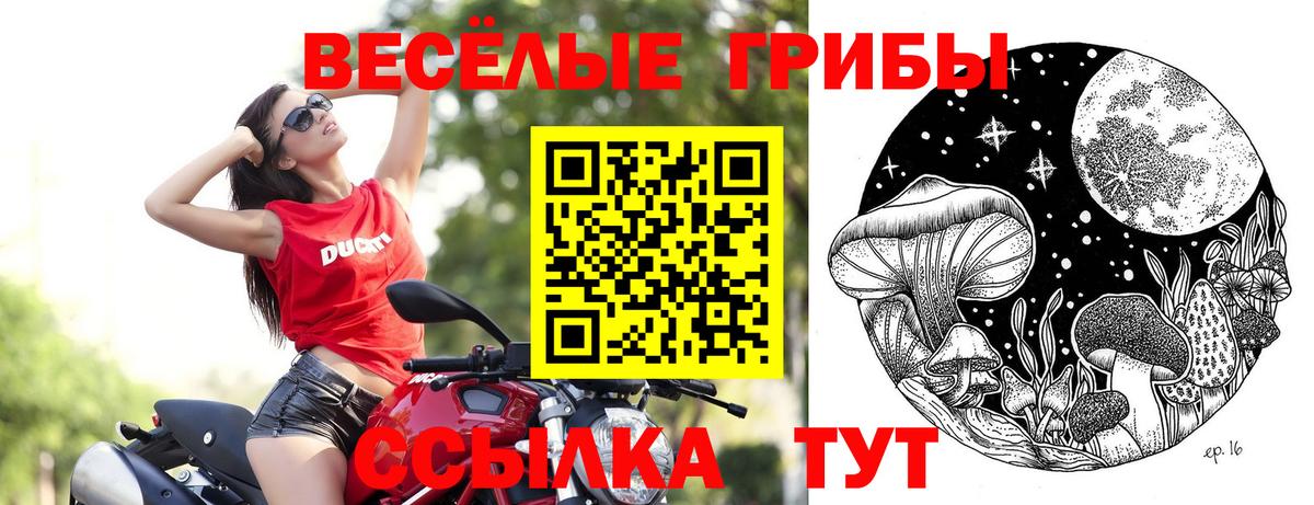 Галлюциногенные грибы Magic Shrooms  Псилоцибиновые грибы Psilocybine cubensis  Ярославль  Вход с VPN 